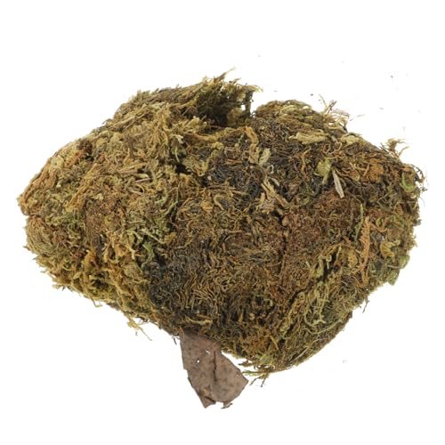 HOMSFOU Beutel DIY Moos Mikro Landschaftsflasche Grünes Lichmoos für Kunstblumen Terrarien und Heimdekoration von HOMSFOU