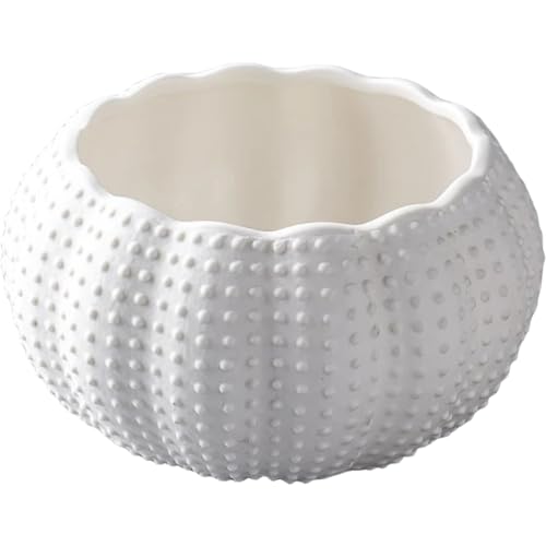 HOMSFOU Keramik Seeigel Schalen Kleine Muschel Skulptur Mini Gewürzschale Küche Dipping Dish Servierschale Kaviar Aufbewahrungsschale Schmucktablett für Nüsse Snack von HOMSFOU