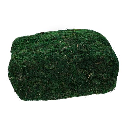 HOMSFOU Künstliches Dekorationsmoos für Mikro Landschaften Realistisches Leichtes und Vielseitiges Zubehör für DIY Projekte Terrarien und Blumentöpfe für Arrangements von HOMSFOU