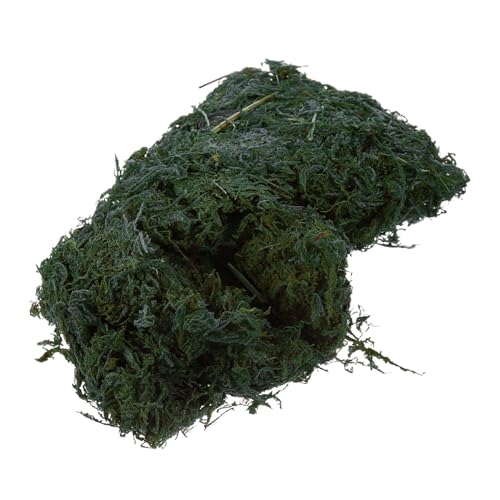 HOMSFOU Künstliches Moos für Dekoration Dunkelgrün Langlebiges Wiederverwendbares Kunstmoos für Hochzeiten Partys DIY Hintergrundgestaltung und Wohnaccessoires HOMSFOU Künstliches Moos für Dekoration Dunkelgrün Langlebiges Wiederverwendbares Kunstmoos für Hochzeiten Partys DIY Hintergrundgestaltung und Wohnaccessoires von HOMSFOU