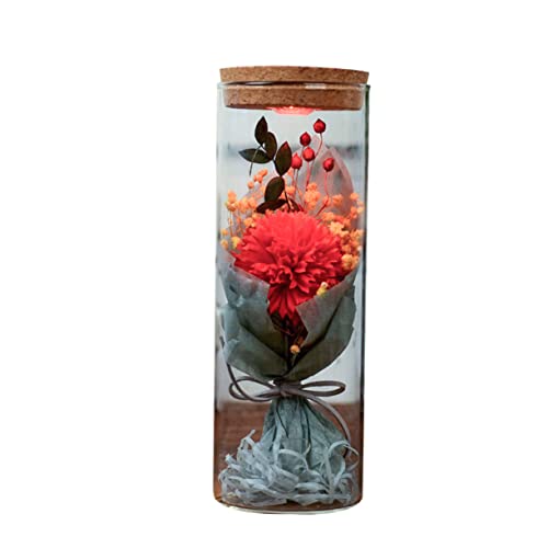 HOMSFOU Weihnachtsblumenflasche Echte in Glaskuppel Konservierte Mit Leuchtendem Led-nachtlicht Blumen Für Immer Im Glas Beleuchtete Glasblume Aufleuchten Frau Rosen Künstlich von HOMSFOU