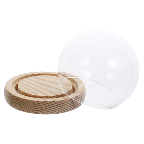 Klare Glaskuppel mit Licht leuchtender Glocke im Glas, Ewige, Glasabdeckung, Terrarium, Kuppel, Glaskuppel für Pflanzen, Sukkulenten, Lichterketten, Fotos, Medaillen von HOMSFOU