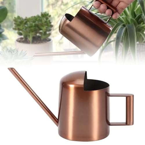 Gießkanne Zimmerpflanzen 300ml Mini Gießkanne: HOMURY Edelstahl Gießkanne mit Langen Hals Metall, Edelstahl Gießkanne klein Garten Gießkanne für Topfpflanzen/Hängepflanzen Home Büro (Bronze) von HOMURY