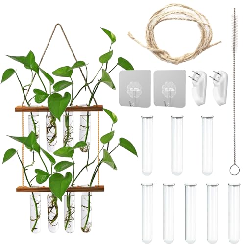 HOMURY Hängende Propagation Station, 2 Stöckiges Vintage Vermehrungsstation für Pflanzen, Glas Reagenzglasvasen für Hause Room Hausgarten Dekor, 8 Rohr, 2 Stufen von HOMURY