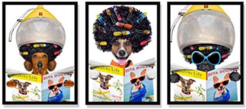 HONGC Kunstplakat Dackelwurst Hundefriseur Art Barbershop Wanddekoration Lustige Hundezeitung Leseplakate und Drucke 50x70cm/19.6”x27.5”x3 Kein Rahmen von HONGC