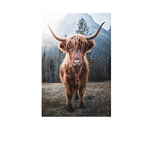 HONGC Nordische Wandbilder für Wohnzimmer Rinder Highland Race Wandkunst Leinwand Malerei Poster und Drucke Skandinavisches Dekor 70x100cm/27.5”x39.4 Kein Rahmen von HONGC