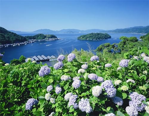 Hydrangea Rhizome, MehrjäHrige FüR Garten BlumenRhizome, Winterhart MehrjäHrig, WunderschöNe BlüTen, Hydrangea Rhizome, 4zwiebeln-D Hydrangea Rhizome, MehrjäHrige FüR Garten BlumenRhizome, Winterhart MehrjäHrig, WunderschöNe BlüTen, Hydrangea Rhizome, 4zwiebeln-D von HONGDET