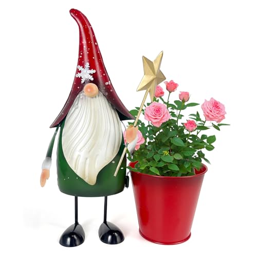 HONGLAND Gartenzwerg aus Metall für den Außenbereich, 33 cm, Weihnachtsmann-Figur, Rasen, Terrasse, Hof, Gartendekoration HONGLAND Gartenzwerg aus Metall für den Außenbereich, 33 cm, Weihnachtsmann-Figur, Rasen, Terrasse, Hof, Gartendekoration von HONGLAND