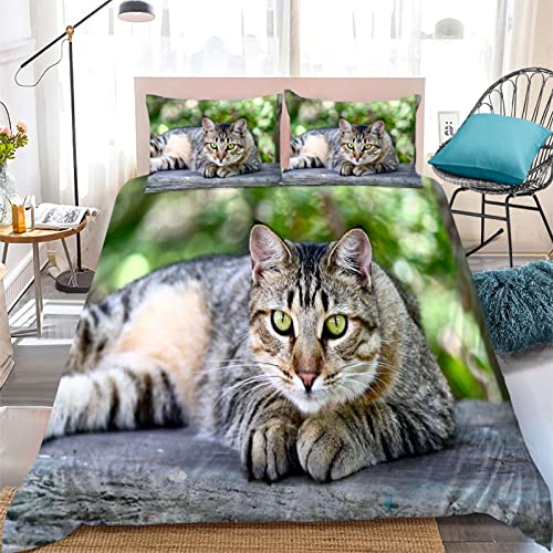 Single Duvet Cover Set Chinese Tabby Cat Bedding for Kids Duvet Cover with Zipper Closure Soft Comfortable Hypoallergenic Microfiber Quilt Cover + 2 Pillowcase 50x75 cm - Single von HONGNIU