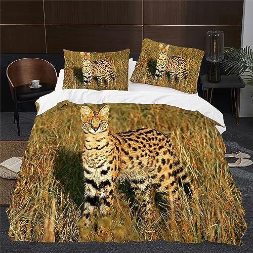 BettwäSche 135x200 Braune Tigerkatze Bettbezug Flauschig PlüSch mit ReißVerschluss Tier BettwäSche-Sets 2 Teilig Set Weiche Atmungsaktiv Mikrofaser BettbezüGe und 2 Kissenbezug von HONGS