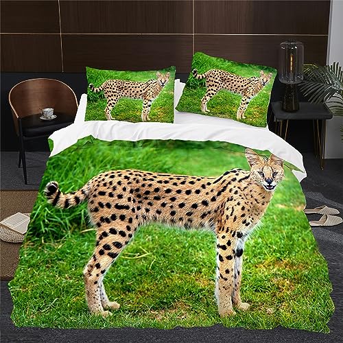 BettwäSche 135x200 DunkelgrüNe Tigerkatze BettwäSche-Sets Microfaser Flauschig BettzeugTier Muster Bettbezug füR MäDchen Jungen und Kissenbezug 80x80 mit ReißVerschluss von HONGS