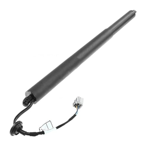 HONGSHIZI Gasfeder Stoßdämpfer 68231345AC 68231345AB 68231345AA Für J&eep Für C&herokee 2015 2016 2017 2018 2019 Linke Heckklappe Gas Strut Gasdruckfedern HONGSHIZI Gasfeder Stoßdämpfer 68231345AC 68231345AB 68231345AA Für J&eep Für C&herokee 2015 2016 2017 2018 2019 Linke Heckklappe Gas Strut Gasdruckfedern von HONGSHIZI