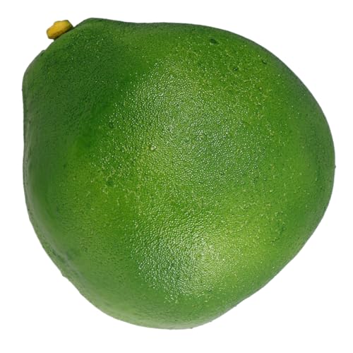 HOODANCOS Grapefruit Modell Simulation Künstliches Netz Saftiger Korb Früchte Gelee Gefälschte Grapefruit Zitronen Schwarze Obstschale Lebensmittel Display Modell von HOODANCOS