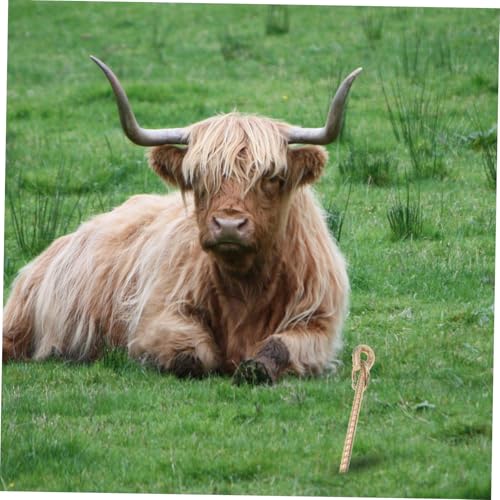 HOODANCOS Stabiler Hund Bodenanker aus Robustem für Große Hunde und Camping Universeller Erdanker zur Sicherung von Zelt Markise und Hundeleine im Outdoor Einsatz von HOODANCOS