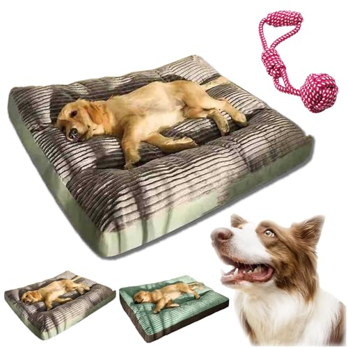 HOPASRISEE Orthocloud Pro OrthopäDisches Hundebett, Memory Foam Hundekorb MittelgroßE Hunde, Waschbar rutschfest Hundebetten, Beruhigt Bei Angst & Reizen Hunde Matratze (1PC-B,M) von HOPASRISEE