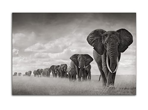 Afrikanische Savannah Elefant Wandkunst Bild Bild Schwarz -Weiß -Tier Poster Print Leinwand Malerei Modernes Haus im Wohnzimmer Bürodekoration Poster (30x45cm-Ohne Rahmen) von HOPNRU