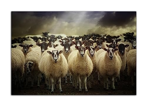 Bauernhof Tiere Vieh Herde Schafe Poster Wand Kunst Bild Druck Leinwand Malerei Moderne Home Wohnzimmer Büro Dekor (30x45cm-Ohne Rahmen) von HOPNRU