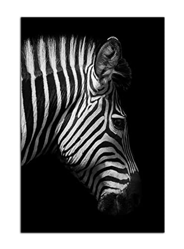 HOPNRU Zebra Portrait Wall Art Bild Schwarz und Weiß Tier Poster Poster Leinwandbild Malerei Moderne Home Schlafzimmer Badezimmer Dekor (30x45cm-Ohne Rahmen) von HOPNRU