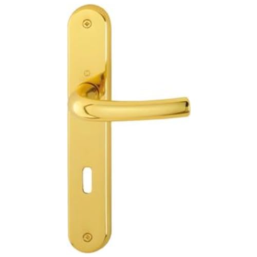 Format 4012789203769 – Garnitur SchildM1710RH/265grt-sst F71 8 OB von FORMAT