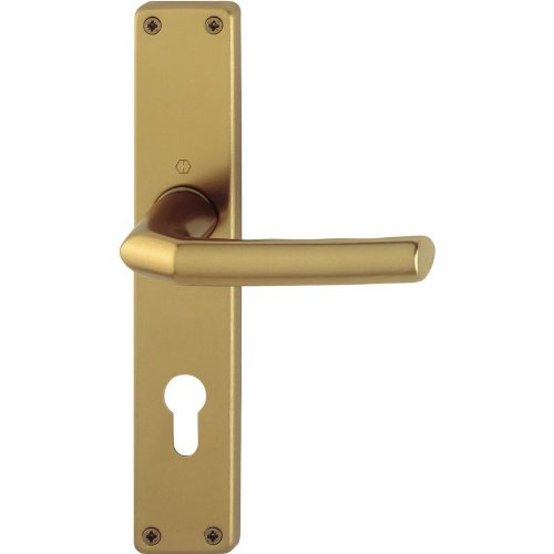 Hoppe Türgriff-Garnitur (beidseits Griff) Aluminium 1117/202SP Birmingham von HOPPE