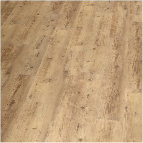 HORI Klick Hart Vinylboden SPC Lärche Melbourne, rustikale beige Landhausdiele, 2,052 m², wasserfest und für Fußbodenheizung geeignet, pflegeleicht und langlebig von HORI