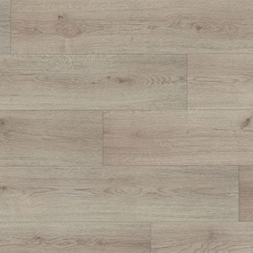 HORI® Klick Laminat-Boden Dielen Bodenbelag I viele Dekore wählbar | Family grau | | für 13,56 €/m² von HORI