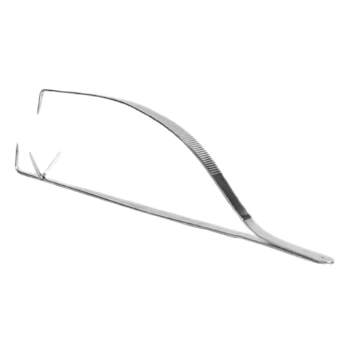 HORIALENCE Edelstahl-glasurklemme Tauchzange Für Töpferwerkzeuge Multifunktionale Keramikwerkzeuge Zum Glasieren Ergonomische Form Für Präzise Handhabung Und Komfortablen Griff Langlebig HORIALENCE Edelstahl-glasurklemme Tauchzange Für Töpferwerkzeuge Multifunktionale Keramikwerkzeuge Zum Glasieren Ergonomische Form Für Präzise Handhabung Und Komfortablen Griff Langlebig von HORIALENCE