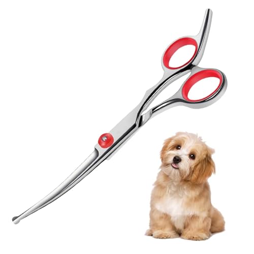 Gebogene Schere für Hunde 6 Zoll Pet Grooming Scissors for Dogs and Cats Dog Grooming Scissors Pet Comb High Performance Titanium Coated Stainless Steel Safety Round Tip Grooming Scissors von HORREX