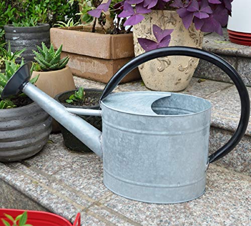 HORTICAN 5-Liter-Gießkanne aus verzinktem Stahl, dekorative weiße Gießkanne im Bauernhausstil, Metallgießkanne, Abnehmbarer Rosettendiffusor, perfekt für den Innen- und Außenbereich von HORTICAN