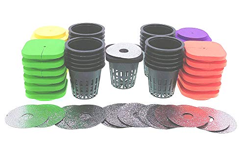2-lagige Klon-Halsbänder mit 5,1 cm Netztöpfen und reflektierenden Deckeln, Ersatz-Netz-Cups von Neopreneinsätze für 24-seitige DWC-Schneidklon- Sämling-Wurzelsystem (4-farbige Packung 25 Stück) von HORTIPOTS