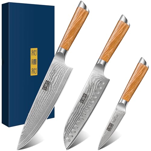 HOSHANHO Damastmesser Set 3 Stücke, Profi 67 Schichten Damastmesser Küchenmesserset, 20cm Kochmesser & 18cm Santoku Messer & 9.5cm Schälmesser von HOSHANHO