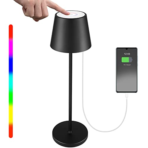 HOSWTLY Tischlampe Kabellos, Wiederaufladbare LED Tischlampe Mit Warmweiß 8 Farben RGB Nachttischlampe Touch Dimmbar Wasserdicht Für Innen Außen Wohnzimmer Schlafzimmer Esstisch Bar Dekoration,Schwarz, 38*11.5cm von HOSWTLY