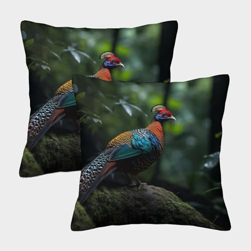 HOTGE Fasan Kissenbezüge 2er Set - Dekorative Kissenhüllen Für Wohnzimmer Sofa Bett - Mit Reißverschluss, Geeignet Für Allergiker 40x40cm von HOTGE