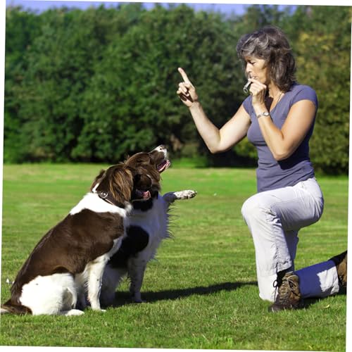 HOUDERCO Verstellbare Hundepfeife aus Langlebigem Nickel Messing mit Schlüsselring Einstellbarem Ultraschallton für Effektives Hundetraining Rückruf und Agility Training Silberfarben Lang von HOUDERCO