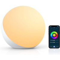 Lampada da tavolo intelligente, lampade da comodino compatibili con Alexa e Google Home, lampada touch RGB dimmerabile che cambia colore per bambini Lampada da tavolo intelligente, lampade da comodino compatibili con Alexa e Google Home, lampada touch RGB dimmerabile che cambia colore per bambini von HOUHENCE