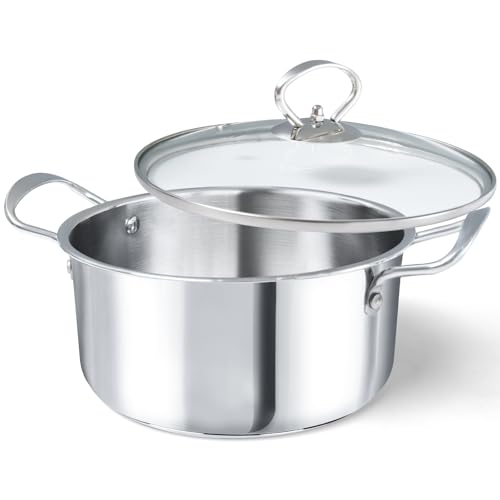 Topf 20 cm Großer Kochtopf mit Glasdeckel 3l Induktions Bratentopf Poliertes Edelstahl unbeschichtet (Silberweiß, 20CM) von HOUSLUX