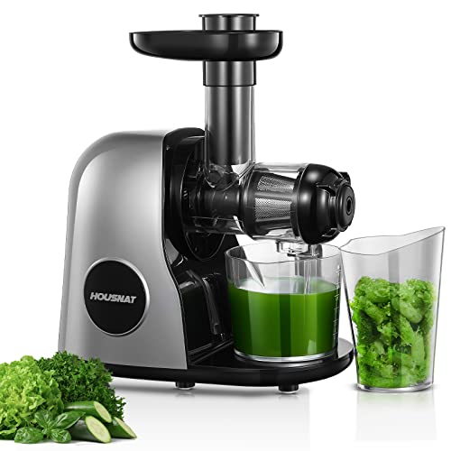 HOUSNAT Slow Juicer, Entsafter Gemüse und Obst, Profi Entsafter mit Ruhigem Motor │ Umkehrfunktion │ Saftkanne │ Reinigungsbürste │ 2 Filterelemente, BPA Frei (Silber) von HOUSNAT