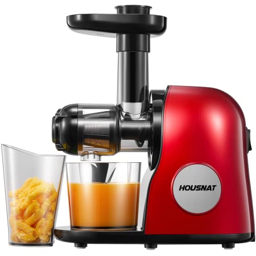 Slow Juicer Entsafter, HOUSNAT Entsafter Gemüse und Obst, Profi Entsafter mit Ruhigem Motor │Umkehrfunktion │2 Filterelemente│ Saftkanne │ Leicht Zu Reinigen │Reinigungsbürste, Rezept von HOUSNAT