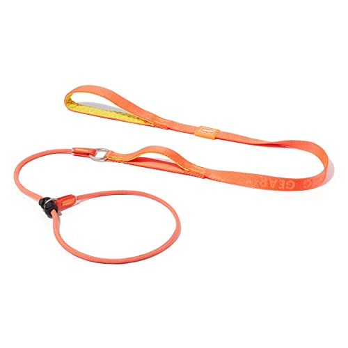 HOWGO Hundeleine, Trainingsleine, Cinch Leash, rutschfeste Leine und Halsband, strapazierfähig und langlebig, gepolsterter Griff, für alle Rassen, 152 cm, Orange von HOWGO