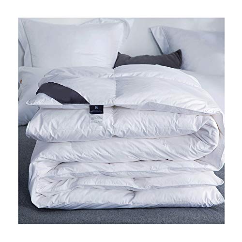 HOXMOMA Weiße Gänsedaunendecke 180x220cm, warme Winterbettdecke, All Seasons daunendecke hypoallergen 100% Baumwolle daunendichtes gewebe Anti-staubmilbe,Weiß,2.5kg von HOXMOMA