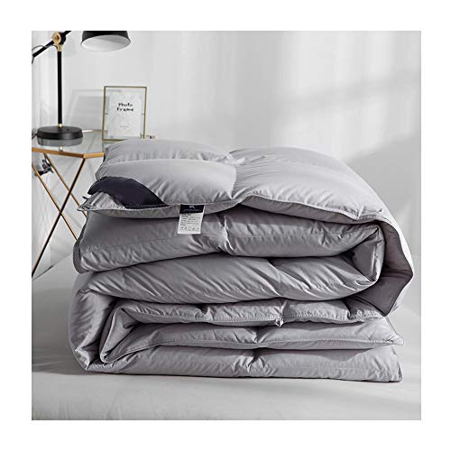 HOXMOMA Weiße Gänsedaunendecke 180x220cm, warme Winterbettdecke, All Seasons daunendecke hypoallergen 100% Baumwolle daunendichtes gewebe Anti-staubmilbe,Grau,2kg von HOXMOMA