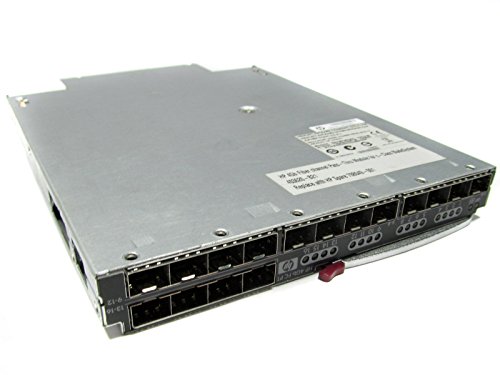 Hewlett Packard HP BLC 4Gb fC Pass Thru Module Hewlett Packard HP BLC 4Gb fC Pass Thru Module von Hewlett Packard