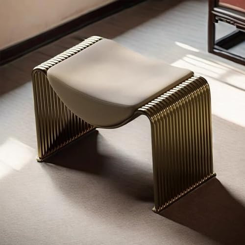 HPIRFYE Bequeme Lederschuhbank Gepolsterte Ottomanische Sitzbank,Moderne Multifunktions-Schlafzimmerbank Essbank,Metallsitz,Schuhregalbank,Geeignet für Eingänge, Schlafzimmer, Flure von HPIRFYE