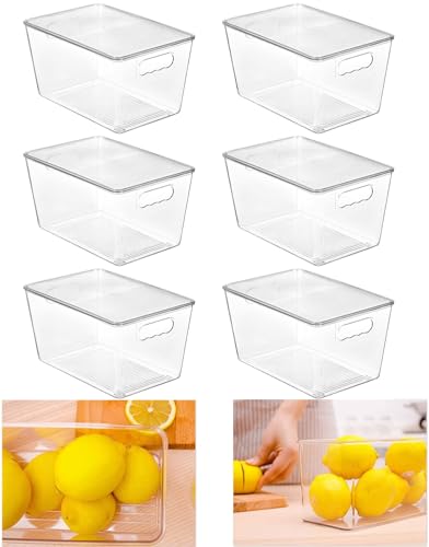 HPYLIF·H Kühlschrank Organizer 4er Set Küche Aufbewahrungsbox mit Griffen, Robust & Durchsichtiger - Organisation für Küchen, Kühlschrank, Schränke, Badezimmer (6 Stück mit Deckel (29x19x15 cm)) HPYLIF·H Kühlschrank Organizer 4er Set Küche Aufbewahrungsbox mit Griffen, Robust & Durchsichtiger - Organisation für Küchen, Kühlschrank, Schränke, Badezimmer (6 Stück mit Deckel (29x19x15 cm)) von HPYLIF·H
