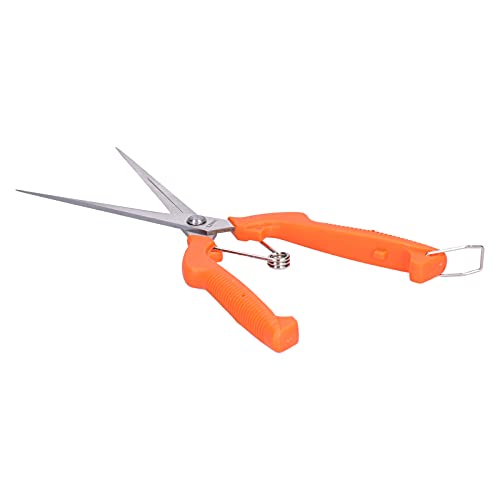Gartenschere langes Griff Obst pflücken Schere scharfe langlebige ergonomische Design zum Beschneiden von Gartengemüse Blumen Gartenschere langes Griff Obst pflücken Schere scharfe langlebige ergonomische Design zum Beschneiden von Gartengemüse Blumen von HPZIHUIT