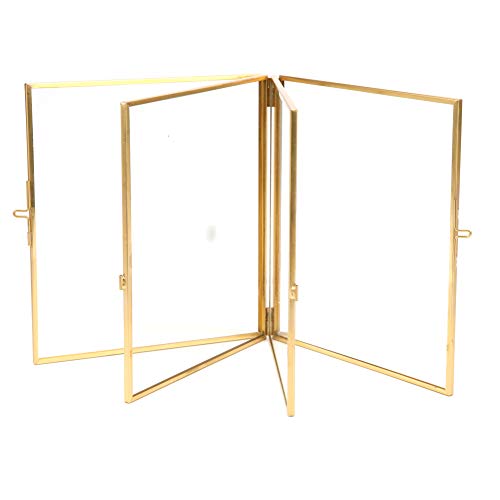 HPZIHUIT Doppelseitige Glaspflanze-Probenhalter getrocknete Blütenclip Home Dekoration Ornament 14x16x1.5 cm von HPZIHUIT