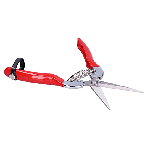 Obst-Picking Scissors scharfe Klinge Nicht rutschfestes Griff zum Beschneiden von Blumen und Gartenarbeit, ergonomisches Design [Arbeitssparung] von HPZIHUIT