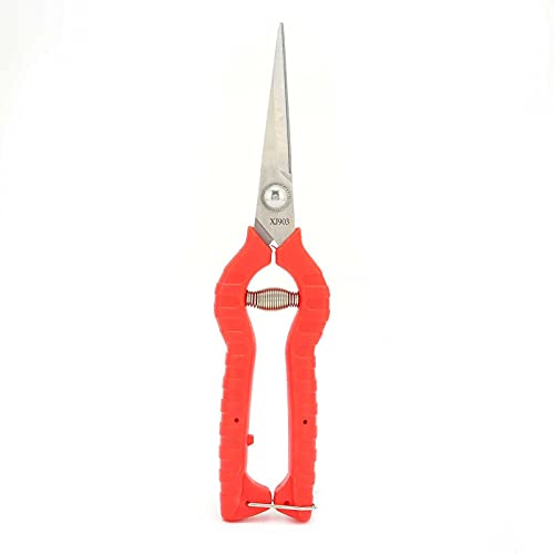 PRUNING SCISSORS GARDENING TOOL FÜR OBST BAUM BRANCHES GEMÜSE TRIMMING SHEARS PRUNING SCISSORS GARDENING TOOL FÜR OBST BAUM BRANCHES GEMÜSE TRIMMING SHEARS von HPZIHUIT