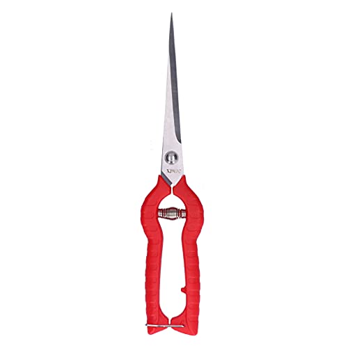 Schnittschere Stailess Stahl Schnittschere Hand Pruner Garden Clippers Gartenschere zum Beschneiden von Obstbäumen Blumen Bonsai Schnittschere Stailess Stahl Schnittschere Hand Pruner Garden Clippers Gartenschere zum Beschneiden von Obstbäumen Blumen Bonsai von HPZIHUIT