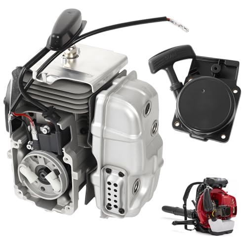 HQPASFY Motor Shortblock Montage mit Anlasser kompatibel mit Redmax EBZ8500 EBZ8500RH Rucksack Gebläse Motor, Teilenummer 577424401 von HQPASFY